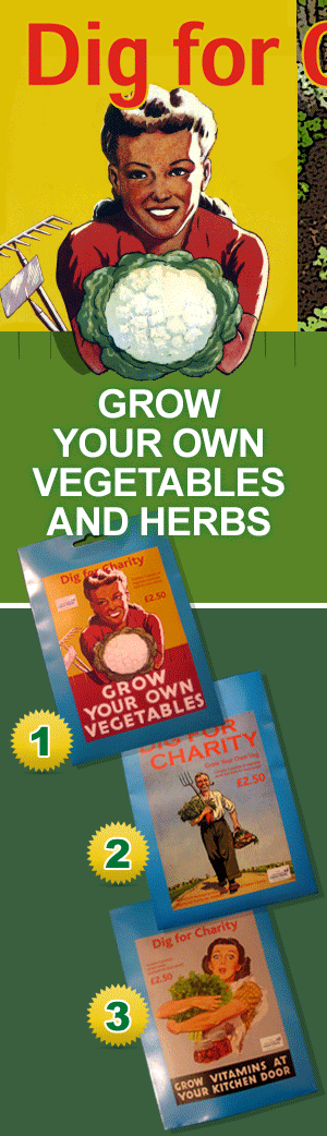 Dig for Charity - Grow your own vegetables and herbs - Seed packet details shown right